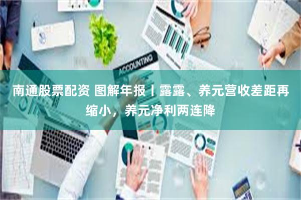南通股票配资 图解年报丨露露、养元营收差距再缩小,养元净利两连降