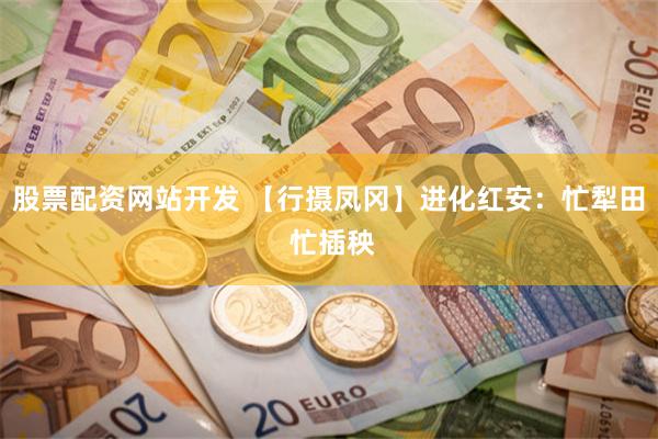 股票配资网站开发 【行摄凤冈】进化红安:忙犁田 忙插秧