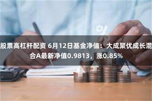 股票高杠杆配资 6月12日基金净值:大成聚优成长混合A最新净值0.9813,涨0.85%
