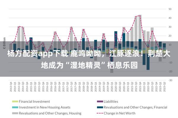 杨方配资app下载 鹿鸣呦呦,江豚逐浪!荆楚大地成为“湿地精灵”栖息乐园