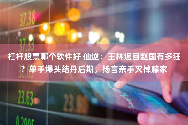 杠杆股票哪个软件好 仙逆:王林返回赵国有多狂?单手爆头结丹后期,扬言亲手灭掉藤家