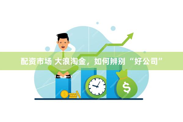 配资市场 大浪淘金,如何辨别 “好公司”