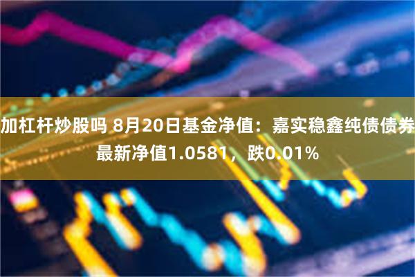 加杠杆炒股吗 8月20日基金净值:嘉实稳鑫纯债债券最新净值1.0581,跌0.01%