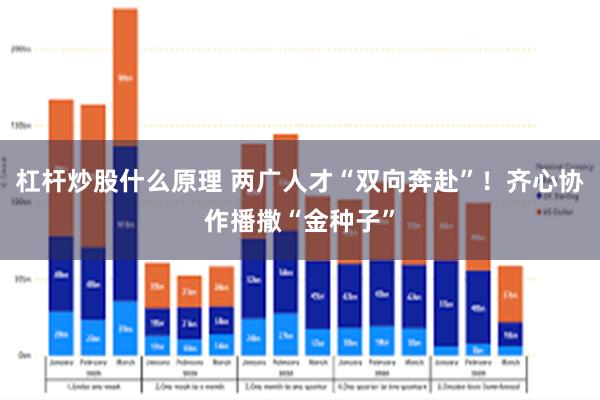 杠杆炒股什么原理 两广人才“双向奔赴”!齐心协作播撒“金种子”