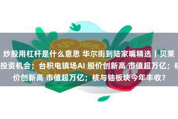炒股用杠杆是什么意思 华尔街到陆家嘴精选丨贝莱德:关注中日英股市投资机会;台积电镇场AI 股价创新高 市值超万亿;核与铀板块今年丰收?