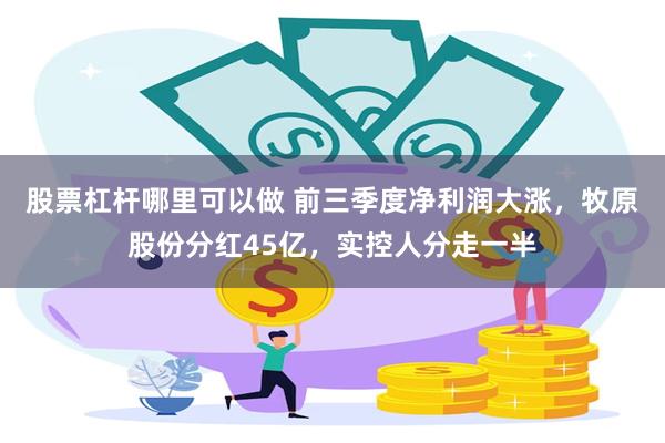 股票杠杆哪里可以做 前三季度净利润大涨,牧原股份分红45亿,实控人分走一半