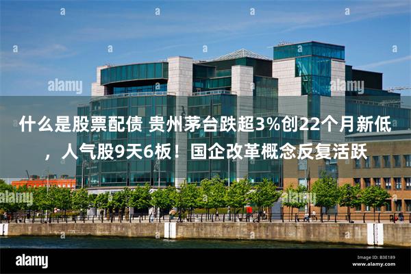什么是股票配债 贵州茅台跌超3%创22个月新低,人气股9天6板!国企改革概念反复活跃