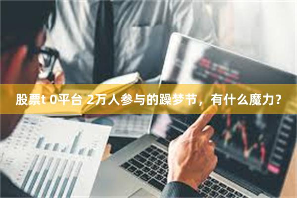 股票t 0平台 2万人参与的躁梦节,有什么魔力?