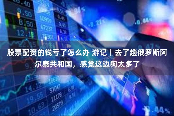 股票配资的钱亏了怎么办 游记丨去了趟俄罗斯阿尔泰共和国,感觉这边狗太多了