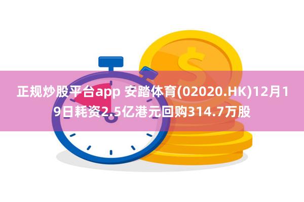正规炒股平台app 安踏体育(02020.HK)12月19日耗资2.5亿港元回购314.7万股