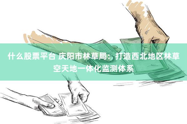 什么股票平台 庆阳市林草局:打造西北地区林草空天地一体化监测体系