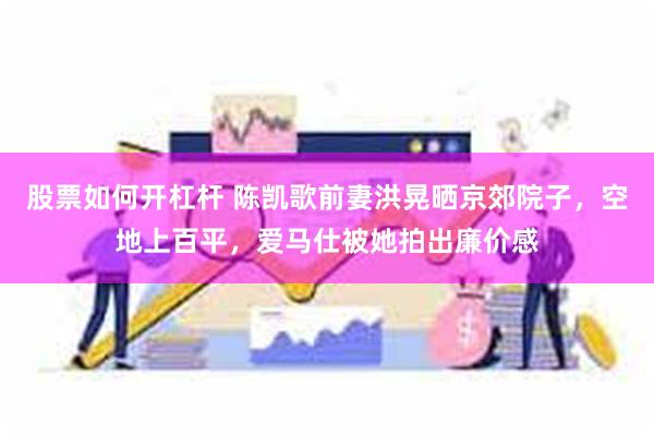 股票如何开杠杆 陈凯歌前妻洪晃晒京郊院子,空地上百平,爱马仕被她拍出廉价感