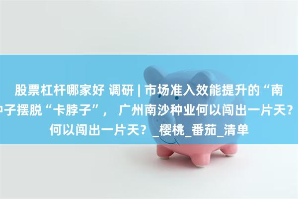 股票杠杆哪家好 调研 | 市场准入效能提升的“南沙样本”:高端种子摆脱“卡脖子”, 广州南沙种业何以闯出一片天?_樱桃_番茄_清单