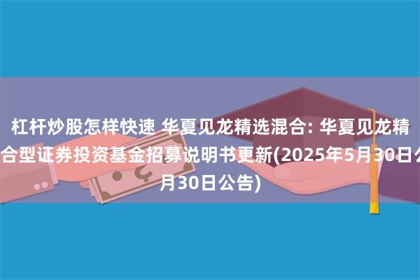 杠杆炒股怎样快速 华夏见龙精选混合: 华夏见龙精选混合型证券投资基金招募说明书更新(2025年5月30日公告)