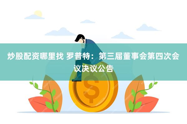 炒股配资哪里找 罗普特：第三届董事会第四次会议决议公告