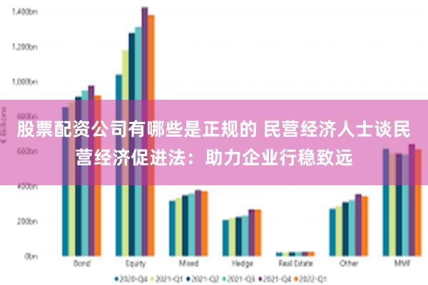 股票配资公司有哪些是正规的 民营经济人士谈民营经济促进法:助力企业行稳致远