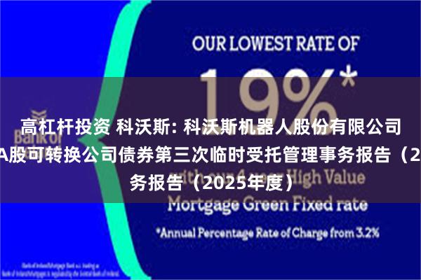 高杠杆投资 科沃斯: 科沃斯机器人股份有限公司公开发行A股可转换公司债券第三次临时受托管理事务报告(2025年度)
