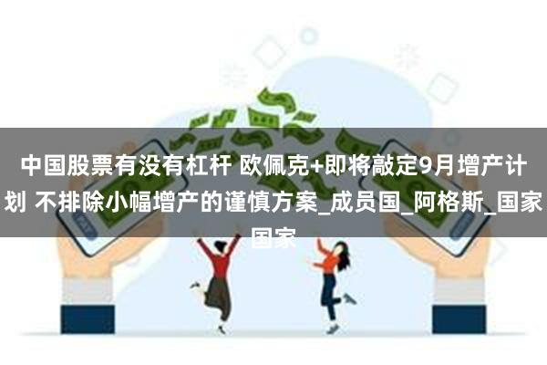 中国股票有没有杠杆 欧佩克+即将敲定9月增产计划 不排除小幅增产的谨慎方案_成员国_阿格斯_国家