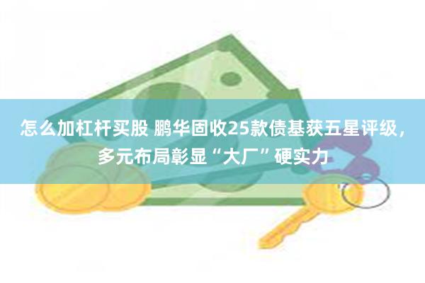 怎么加杠杆买股 鹏华固收25款债基获五星评级,多元布局彰显“大厂”硬实力