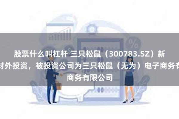 股票什么叫杠杆 三只松鼠(300783.SZ)新增一起对外投资,被投资公司为三只松鼠(无为)电子商务有限公司