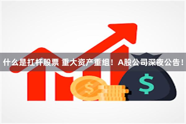 什么是扛杆股票 重大资产重组！A股公司深夜公告！